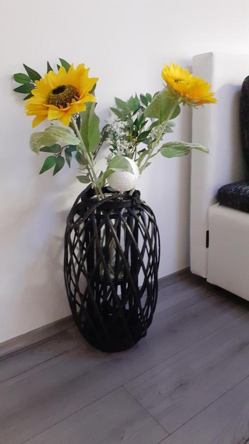 Apartmani Polanscak Krapinske Toplice Bagian luar foto